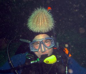 Risør-tur med SDK - UV, 81