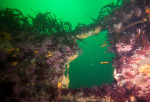 Svenner, ukjent vrak